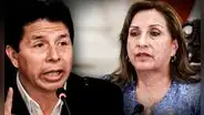 Pedro Castillo: "Dina Boluarte lloraba para no ser removida del Midis"