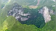 El gigantesco bosque que está oculto en un hoyo de 192 metros de profundidad