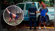 Ladrón entró a robar a una casa y quedó colgado en la reja cuando intentaba huir