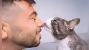 ¿Cómo saber si mi gato me quiere? Estas 4 señales confirman que te aprecia mucho