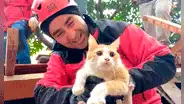 Gato es rescatado debajo de los escombros tras el fuerte terremoto en Turquía