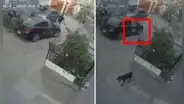 Ate: delincuente huye de robo tras ser impactado con un ladrillo lanzado por vecinos