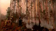 Incendios forestales en Chile: Unión Europea anuncia envío de equipos de emergencia