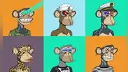 ¿Qué pasó con los Bored Ape, los NFT de monos que causaban sensación en internet?