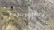 Arequipa: Policía halla y rescata cadáver de varón en alejada quebrada de Charcani