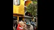 Los Olivos: extranjeros se enfrentan con cuchillos contra sus vecinos