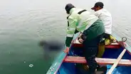 Hallan y rescatan 2 cadáveres que flotaban a un costado de bote en lago Titicaca