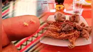 El zorrito: ¿en qué parte del cuy se encuentra este hueso y por qué es tan buscado?