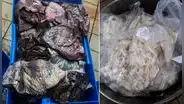 Hospital Lima Este: reportan 80 kilos de carne en mal estado para consumo de pacientes y personal