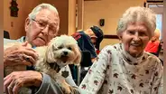 Juntos desde secundaria: ancianos celebrarán su 70.° aniversario de bodas en San Valentín