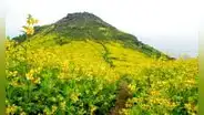 ¿Te gusta el trekking? Estas son las 9 lomas que puedes visitar sin salir de Lima