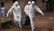 Lo que se sabe del virus de Marburgo, hasta 88% letal y sin tratamiento disponible
