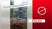 Este video no es de la emboscada narcoterrorista en la que mataron a 7 policías en el Vraem en 2023