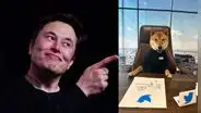 ¿Elon Musk halló un nuevo CEO para Twitter? Millonario bromea y muestra a perro en su puesto
