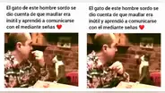 Gatito aprendió a comunicarse con su dueño sordo a través de señas