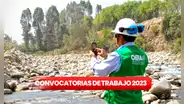 ¿Eres egresado o titulado? OEFA ofrece trabajo con sueldos de más de S/11.500