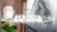 La rosa de Guadalupe 2023: ¿dónde y a qué hora ver EN VIVO el capítulo "Mi nombre es Clementina"?