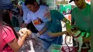 Gran campaña veterinaria gratuita y jornada de adopción en Chorrillos este sábado 18 y domingo 19