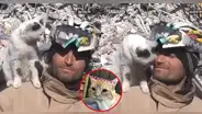 Gatito que fue rescatado del terremoto en Turquía no quiere dejar a su salvador