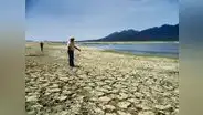 Falta de lluvias en el medio y bajo Piura pone en riesgo 50.000 hectáreas de cultivos