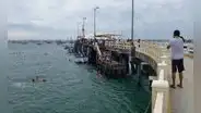 Pescadores exigen reconstruir muelle de El Ñuro tras oleajes anómalos en Piura