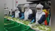 Empleos en el sector exportador lograron cifra récord y superaron los 4,1 millones en 2022