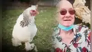Hombre de 67 años muere tras feroz ataque de una de sus gallinas