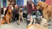 Perrito que sobrevivió a disparo fue adoptado por policía que lo socorrió