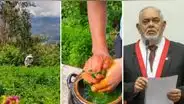 "Para ti, Montoya, caracho": apurimeño hace receta con alfalfa y se convierte en viral