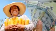 Bono Agrario 2023: ¿cuál es el LINK oficial para consultar si soy beneficiario y cuándo puedo cobrar?