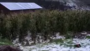 Pronostican bajas temperaturas en Cusco y Madre de Dios