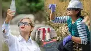 Ingeniería ambiental: ¿por qué es considerada como una carrera del futuro y dónde puedo estudiarla?