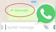 ¿Cómo reenviar fotos y memes en WhatsApp sin que aparezca la etiqueta de 'reenviado'?