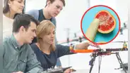 Encuesta universitaria revela que estudiantes de ingeniería son sexualmente más activos