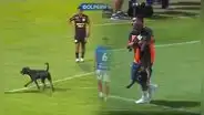 En pleno 'U' vs. Mannucci, un perro se metió al partido e interrumpió el juego por unos minutos