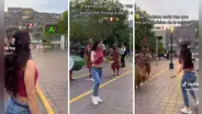Venezolana no se aguanta y baila música de la selva en Miraflores: "Gracias por gustarte lo nuestro"