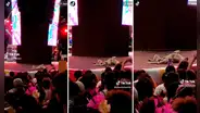 ¡La estrella del evento! Perrito se queda dormido en pleno escenario durante concierto de cantante