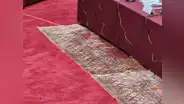 Jefe de Logística del Congreso sobre alfombras: "No son las que vosotros podrían tener en sus casas"