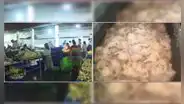 Ate: interviene local de venta de pollos donde inflaban aves en estado de descomposición