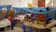 Niños son más vulnerables a cuadros agudos por dengue, alertó Hospital Santa Rosa
