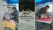 Abre su negocio para bañar a perritos, pero su primer cliente se va sin pagar