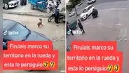 “Milagro perruno”: can se salva de morir aplastado por rueda que se desprendió de un vehículo