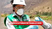 ¿Eres egresado y buscas chamba? OEFA ofrece trabajo con sueldos de más de S/11.500
