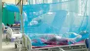 Ministerio de Salud: 76% de los casos de dengue están en seis regiones