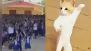 Niños inician clases con “una gatita que le gusta el mambo” en lugar del himno nacional