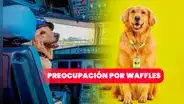 Crisis en Viva Air: usuarios preocupados por Waffles, mascota de la aerolínea