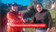 ¿Egresado y buscas trabajo? Programa PAIS ofrece empleos desde S/3.000 de sueldo