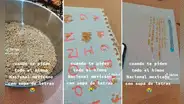 Increíble tarea: profesora pide a sus alumnos escribir el himno nacional con fideos de letras