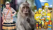 "Matanga dijo la changa": el oscuro origen de la frase que replicó "El Chavo del 8" y "Los Simpson"