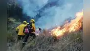 Cómo detener los incendios forestales